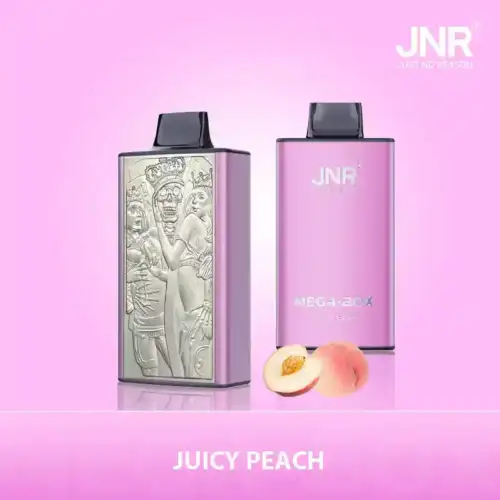 JNR Mega Box 25000 Puffs Disposable Vape Ultimate Performance & Flavor