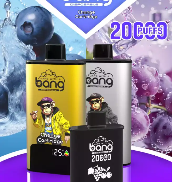 BANG 20000 PUFFS DSK046 B20HD Vape 20ml E-Liquid Dual Mesh Coil
