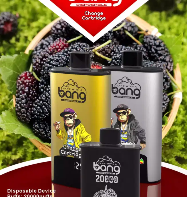 BANG 20000 PUFFS DSK046 B20HD Vape 20ml E-Liquid Dual Mesh Coil