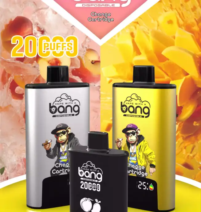 BANG 20000 PUFFS DSK046 B20HD Vape 20ml E-Liquid Dual Mesh Coil