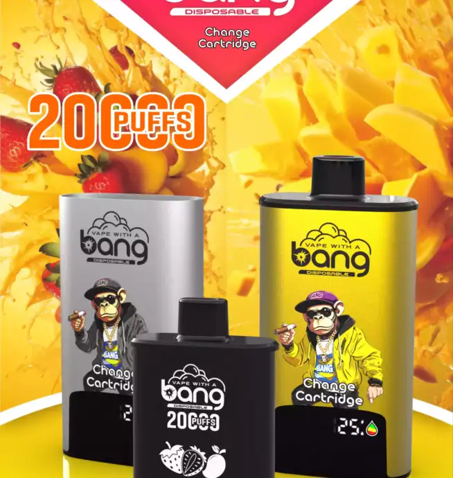 BANG 20000 PUFFS DSK046 B20HD Vape 20ml E-Liquid Dual Mesh Coil