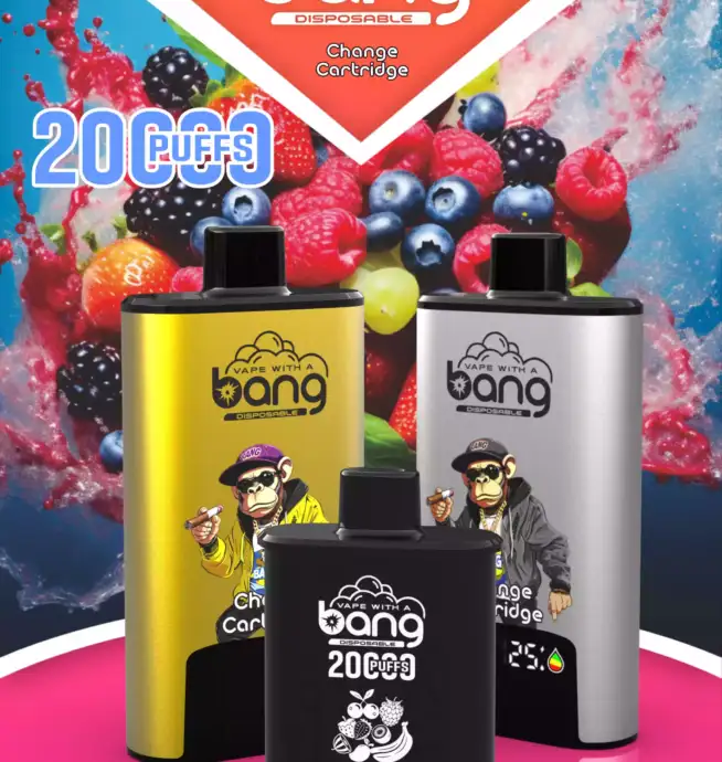 BANG 20000 PUFFS DSK046 B20HD Vape 20ml E-Liquid Dual Mesh Coil