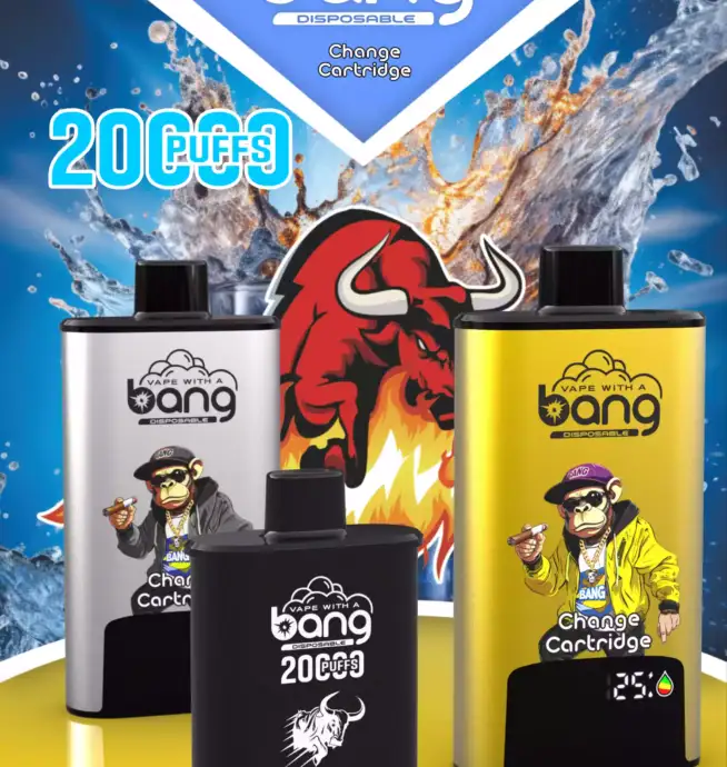 BANG 20000 PUFFS DSK046 B20HD Vape 20ml E-Liquid Dual Mesh Coil