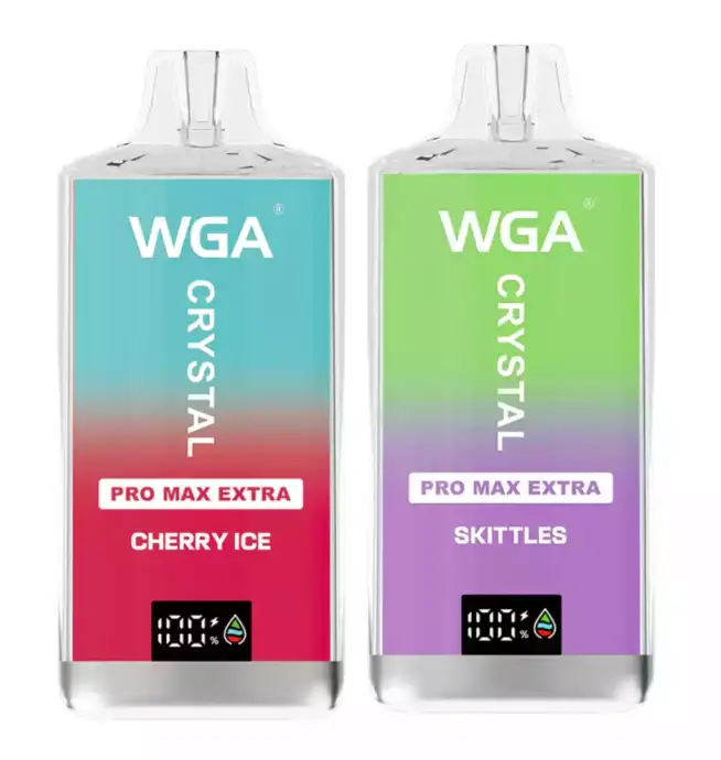 WGA 15000 Puffs Disposable Vape mesh coil 850mAh battery